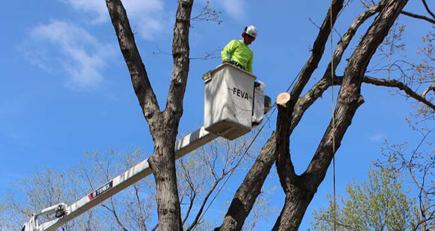 Risk Assessments bucket truck